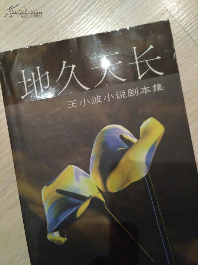 地久天长:王小波小说剧本集