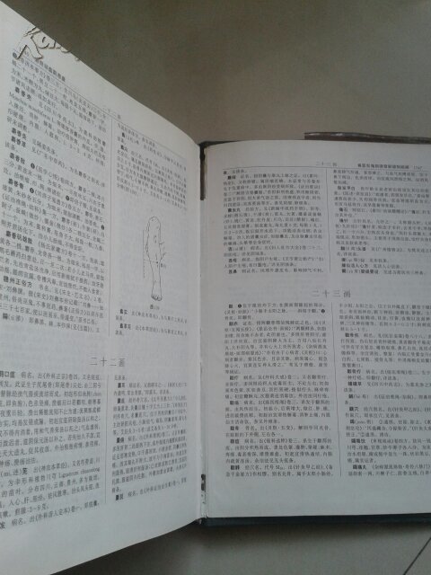 【图】中医大辞典 精装 有书衣_价格:120.00