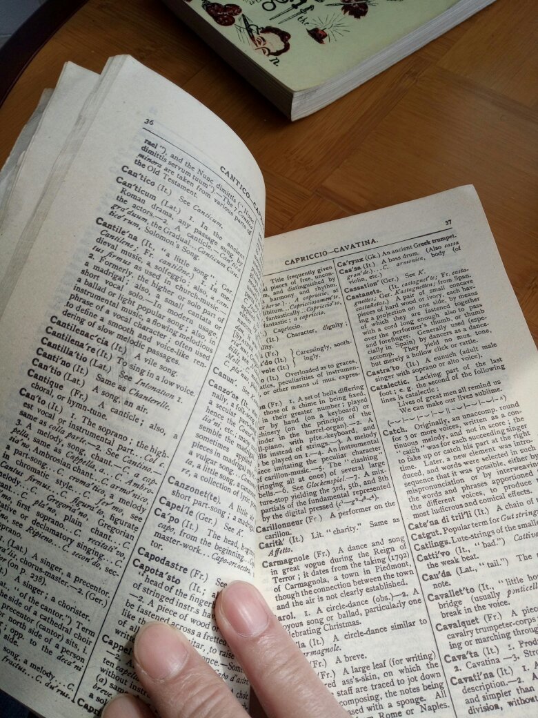 【图】音乐名词术语辞典_价格:48.00