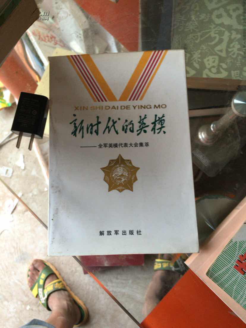 新时代的英模:全军英模代表大会集萃