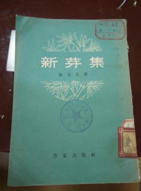 新芽简谱_薰衣草幼苗新芽图片