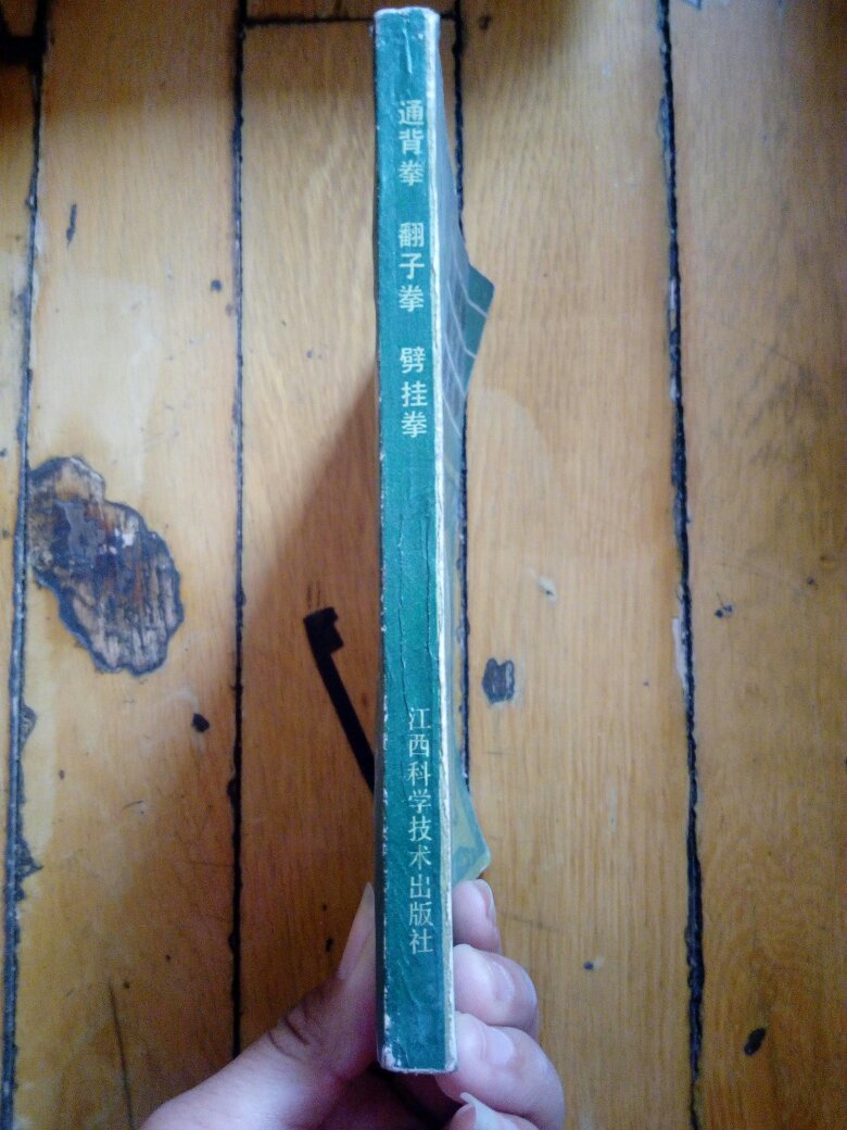 通背拳 翻子拳 劈挂拳