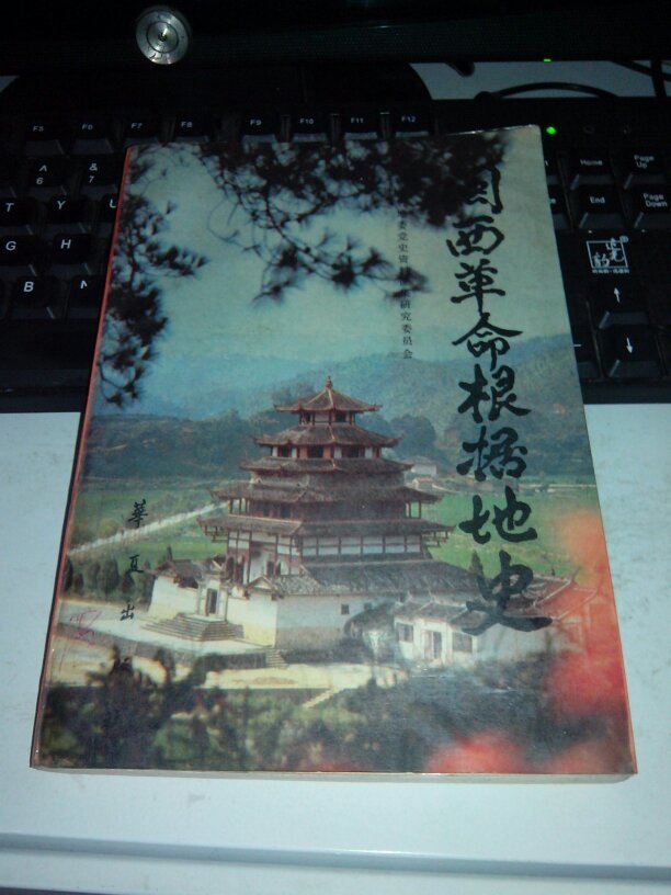 闽西革命根据地史