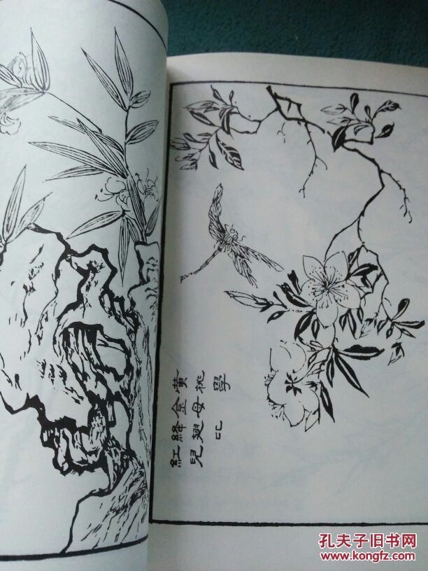 芥子园画谱 人物屋宇 竹谱 菊谱 翎毛花卉 名家画谱(6册合售)品好