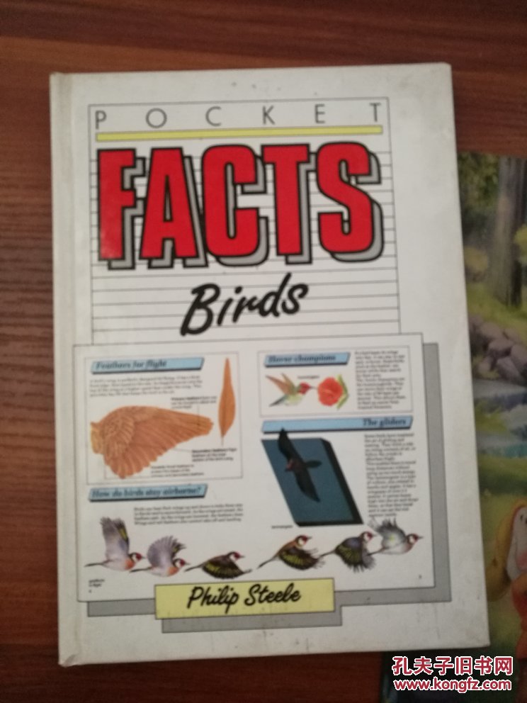 facts birds .