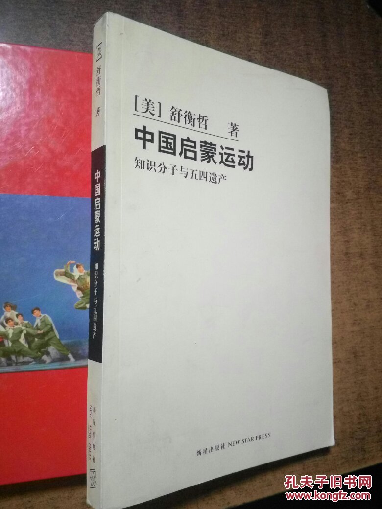 中国启蒙运动:知识分子与五四遗产