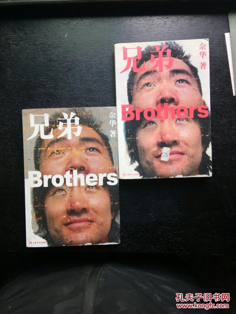 兄弟上下两册全