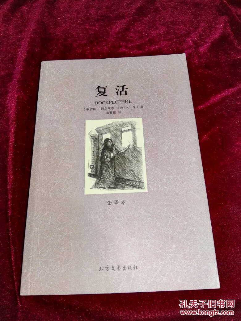 复活外国经典名著全译本