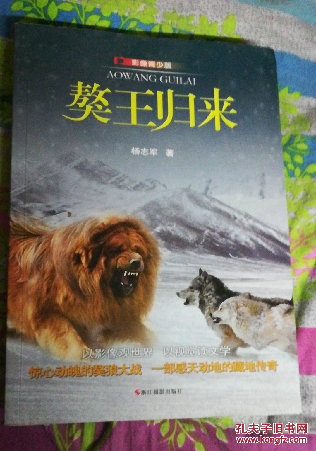 獒王归来:影像青少版