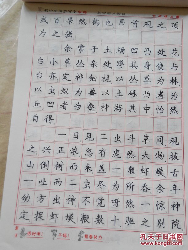 名家钢笔书法字帖教与学同步字帖七年级上册