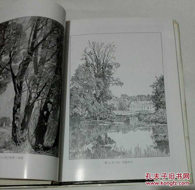 鲁愚力钢笔画与技法 〔精装 〕看图定品相