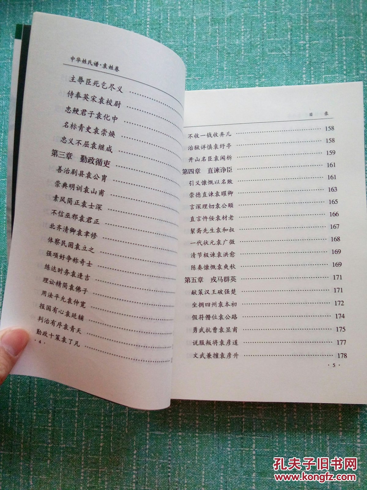 中华姓氏谱:袁姓卷(详细介绍袁姓源流,人物,人文,文献,是研修袁氏家谱