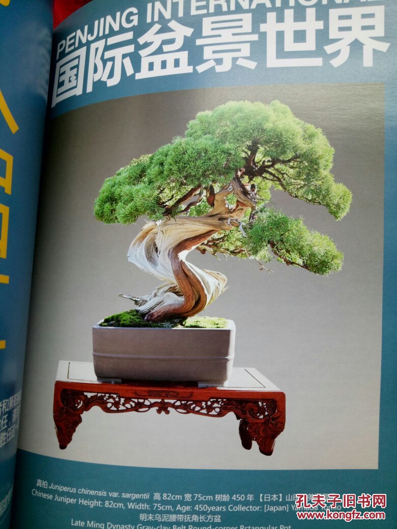 中国盆景赏石(2012-1)