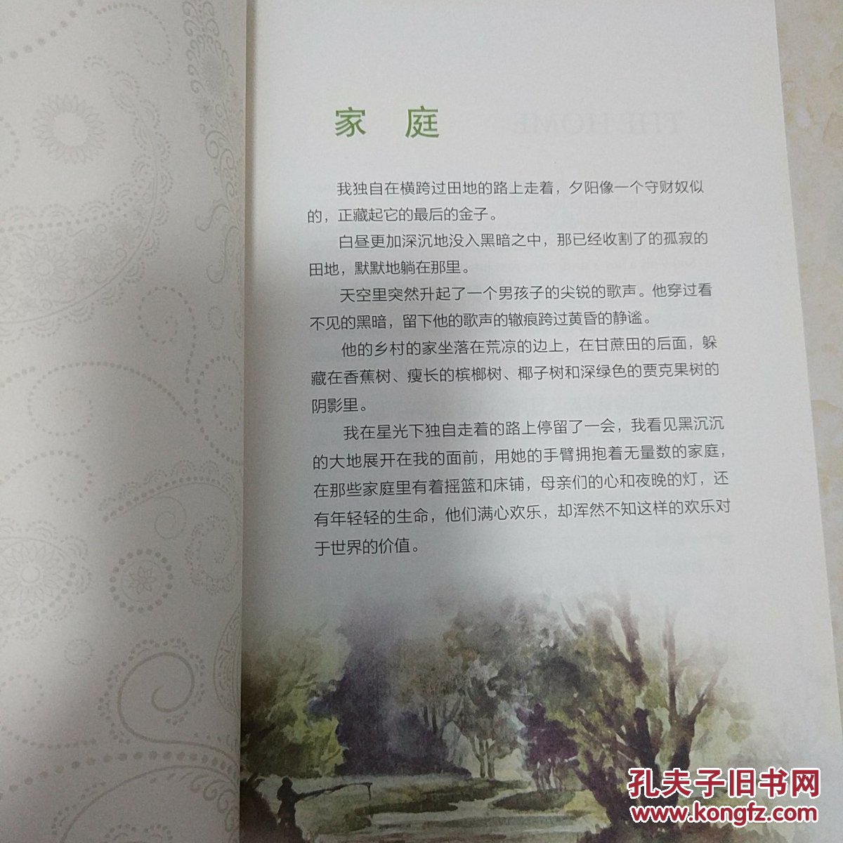 生如夏花:泰戈尔经典诗选