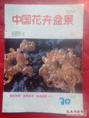 中国花卉盆景（1996-10）.