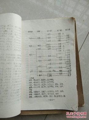 修修简谱网站_儿歌简谱(2)