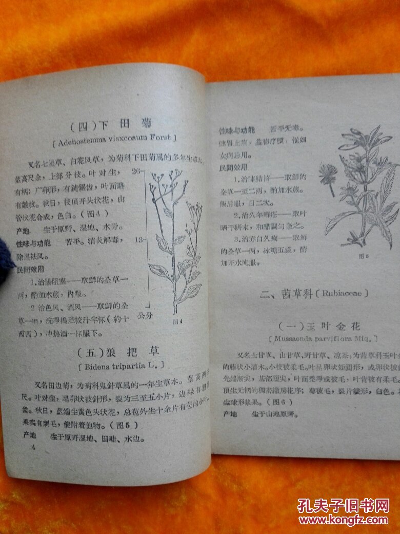福建民间草药(第一,三,五集)3本合售(介绍草药的性味与功能 民间效用