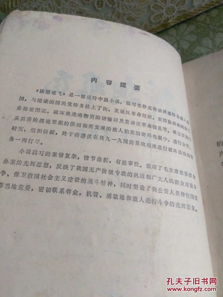 插翅难飞反特小说