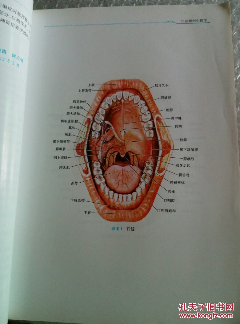 卫生部"十二五"规划教材:口腔解剖生理学(第7版)(供口腔医学类专业用)