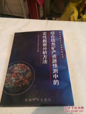 综合信息矿产资源预测中的定性数据分析方法