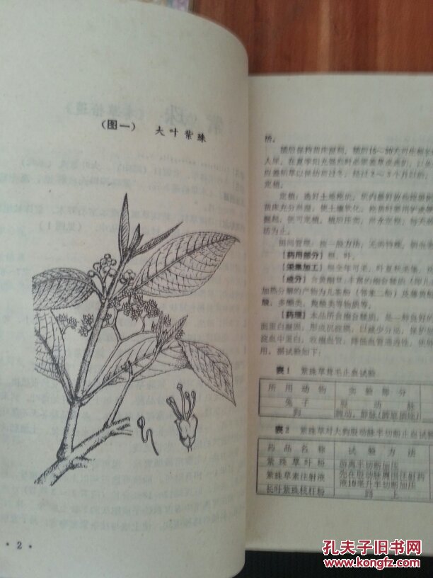 中草药资料汇编(一)(有图片,栽培,采集制济加工,用法及临床应用)