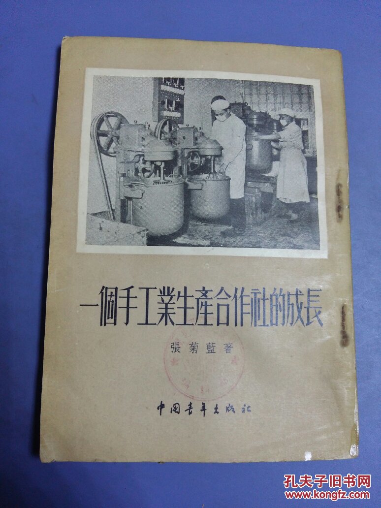 一个手工业生产合作社的成长,(32开)