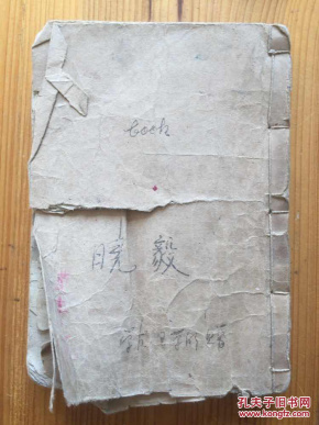 小学模范作文读本 (内容分:记叙文 日记 游记 传