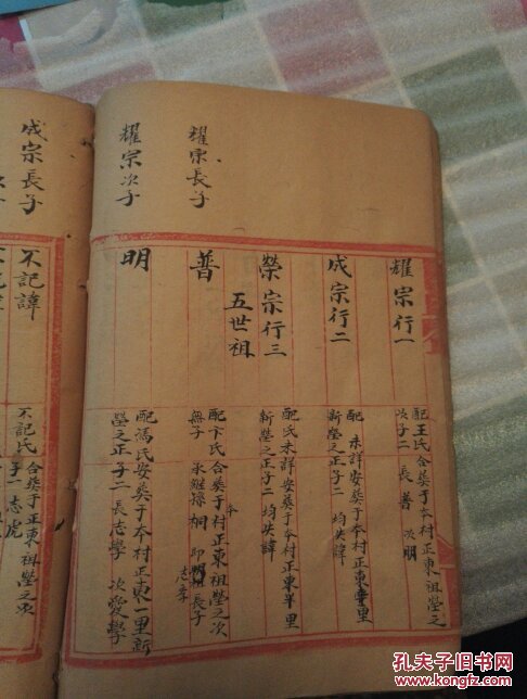 王氏家谱草本