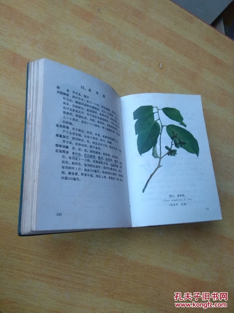 云南中草药选(续集) 彩色图片