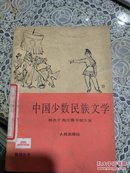 中国少数民族文学