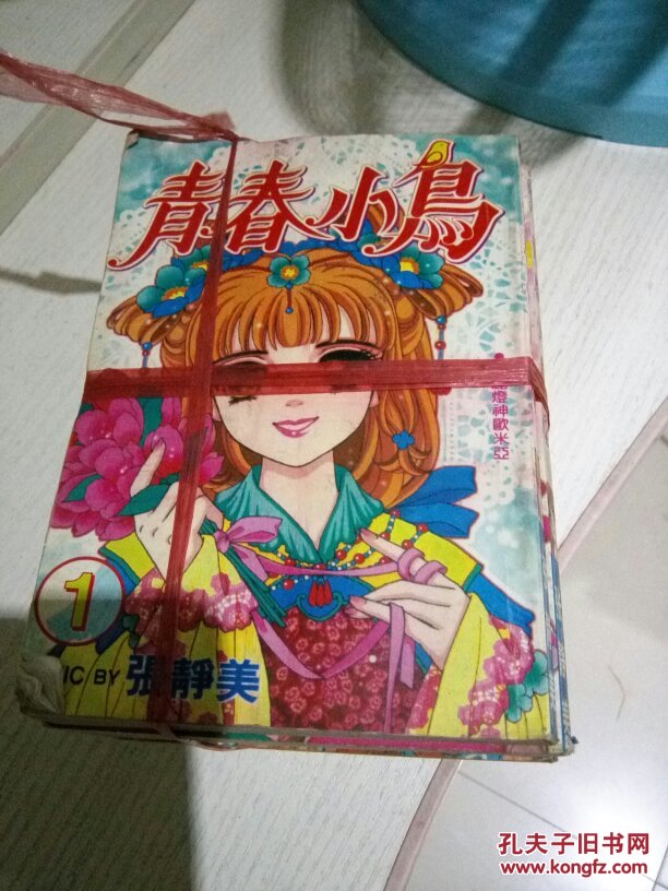 青春小鸟1到9册完.
