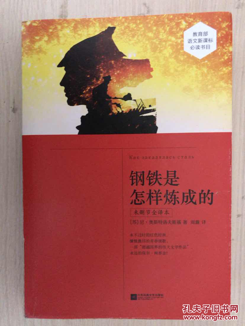 钢铁是怎样炼成的(未删节全译本)