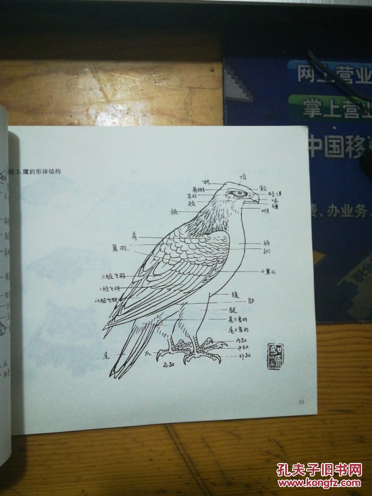 鹰的画法中国画技法丛书
