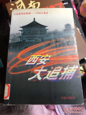 西安大追捕:百集系列电视剧-中国大案录