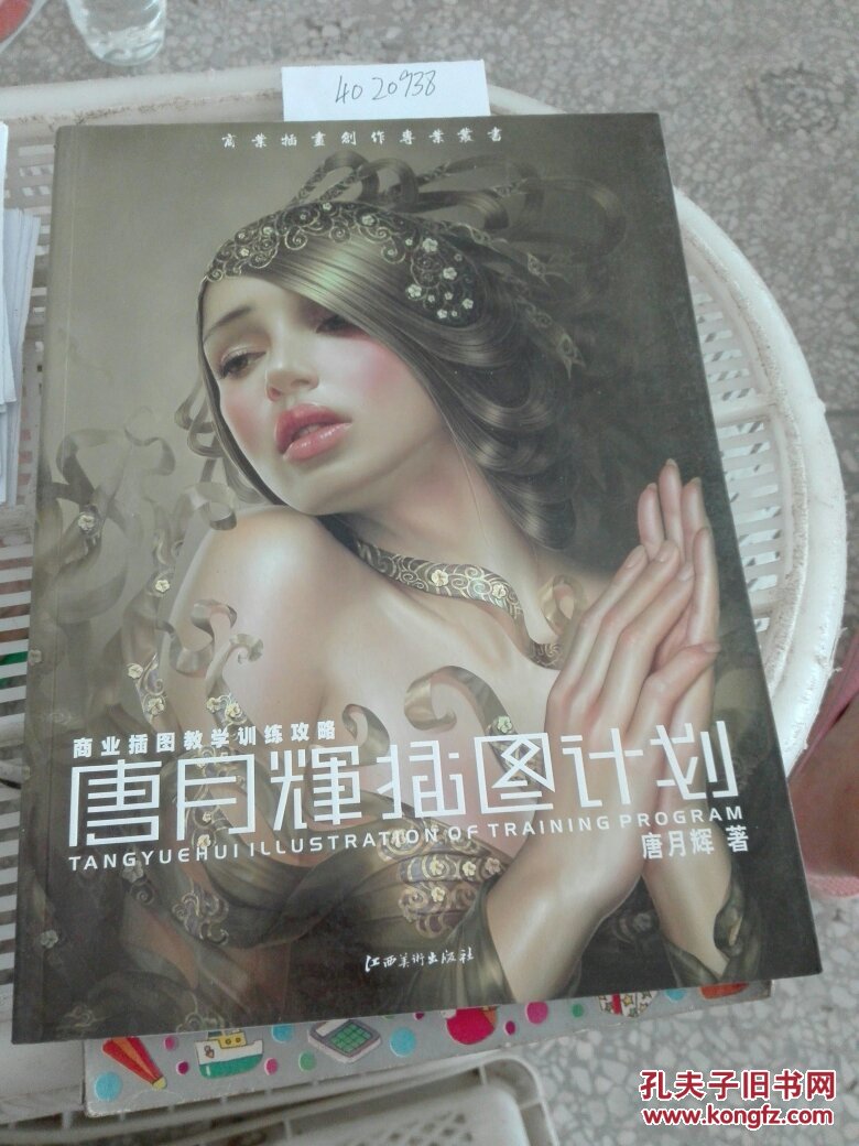 唐月辉插图计划