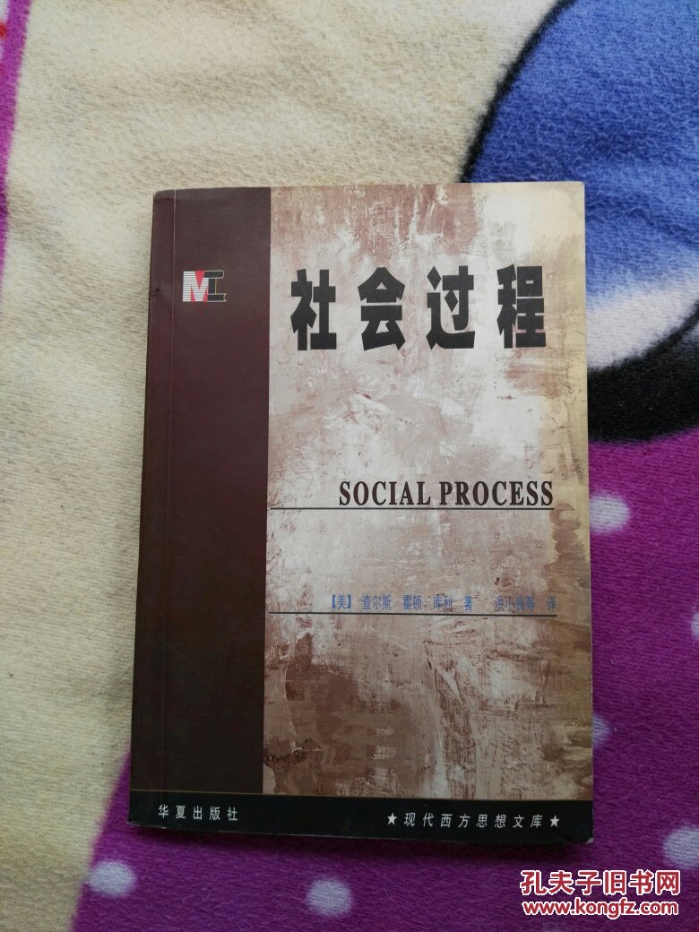 社会过程(现代西方思想文库)