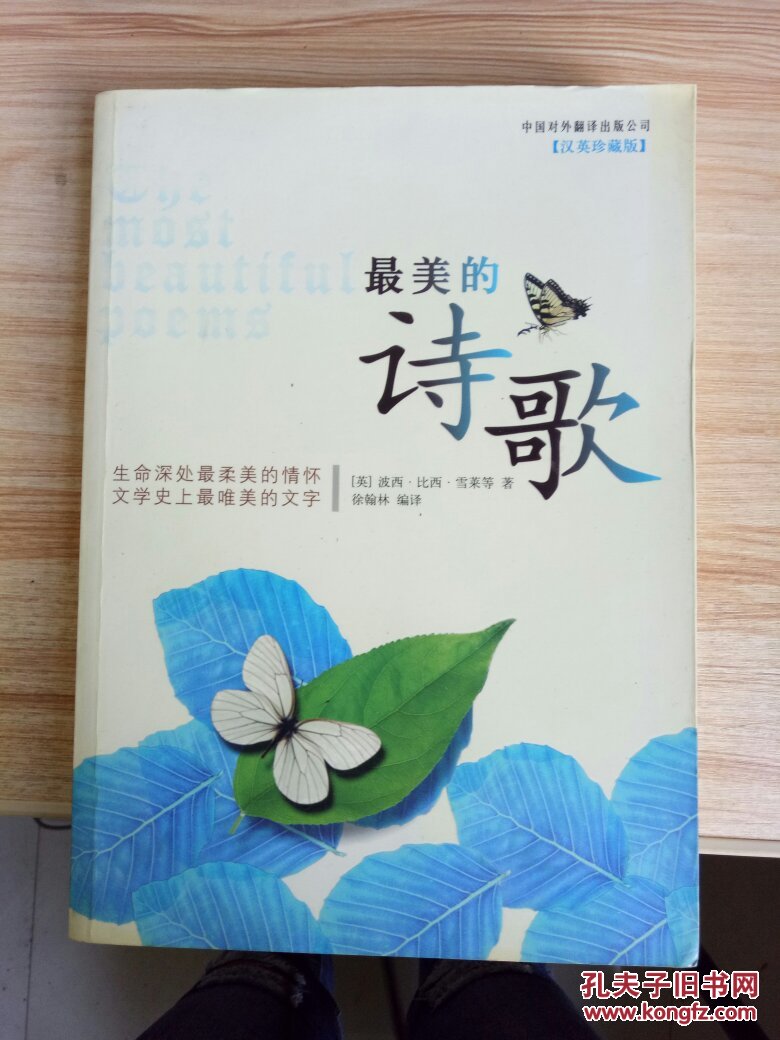 最美的诗歌9787500114581