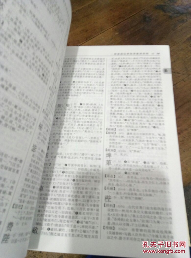 【图】古代汉语词典_商务印书馆