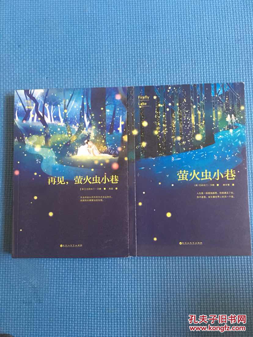 再见,萤火虫小巷