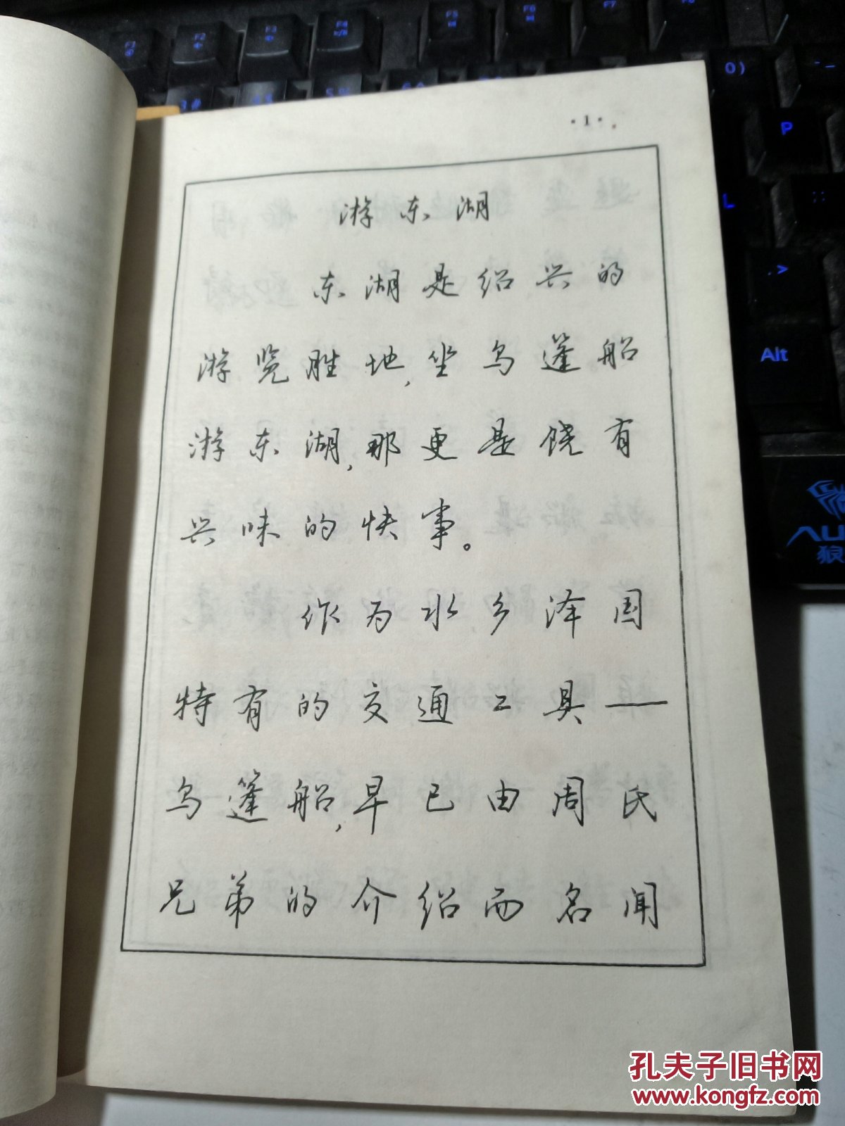 江鸟钢笔行书横写字帖