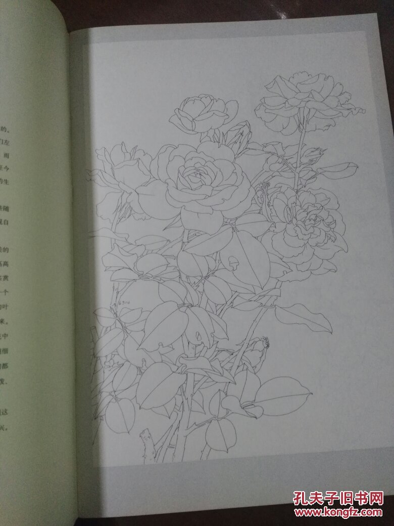 画集:白描花卉-月季
