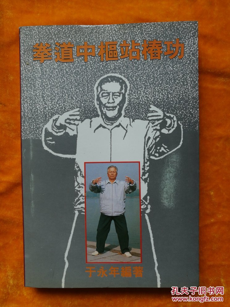 拳道中枢站桩功(王芗斋遗著 于永年 编著 268页)
