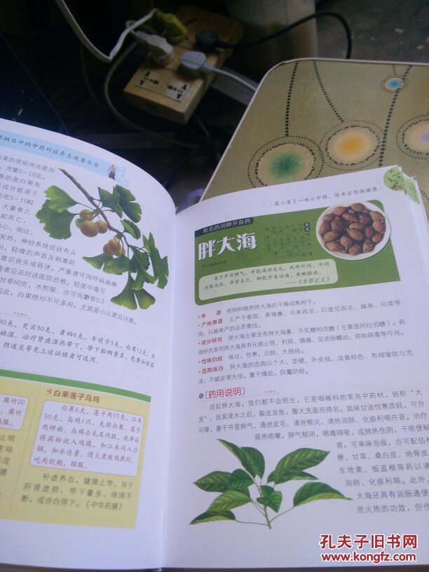 本草纲目的中药对症养生速查全书