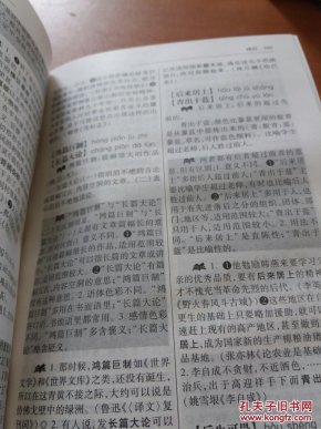 新编成语辨析词典