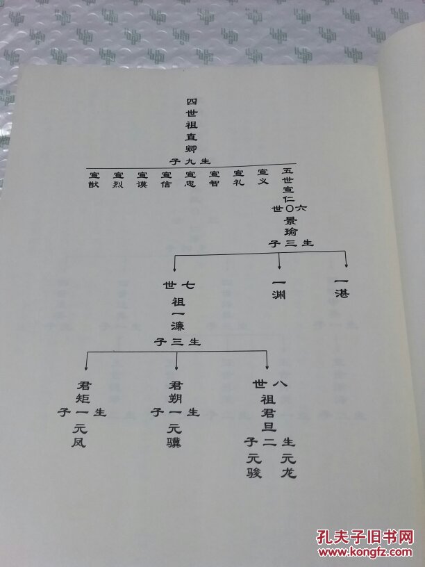 周仕龙族谱 (一) 广东省