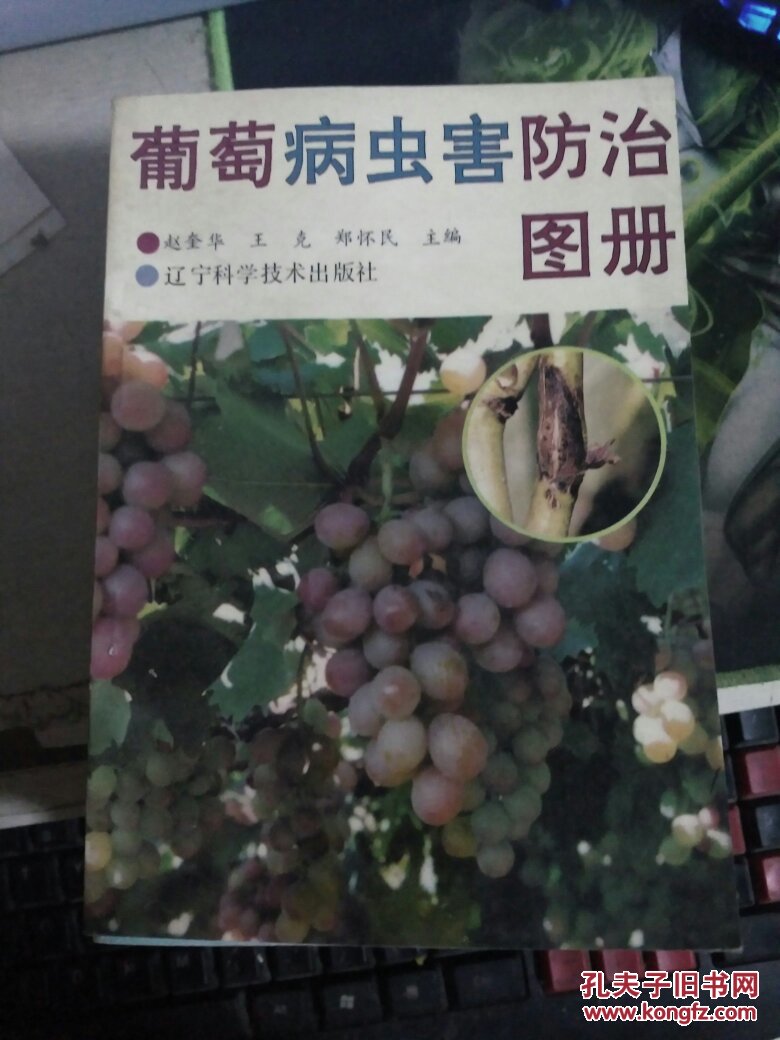 葡萄病虫害防治图册