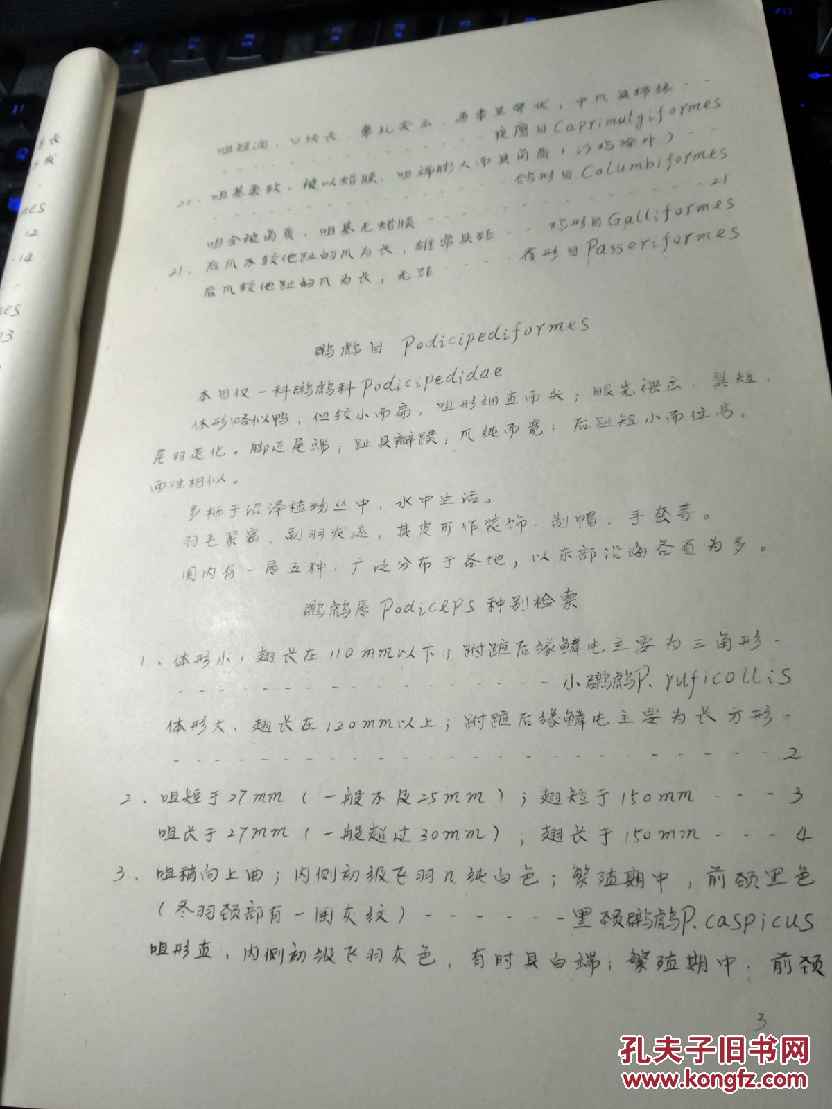 鸟类检索表