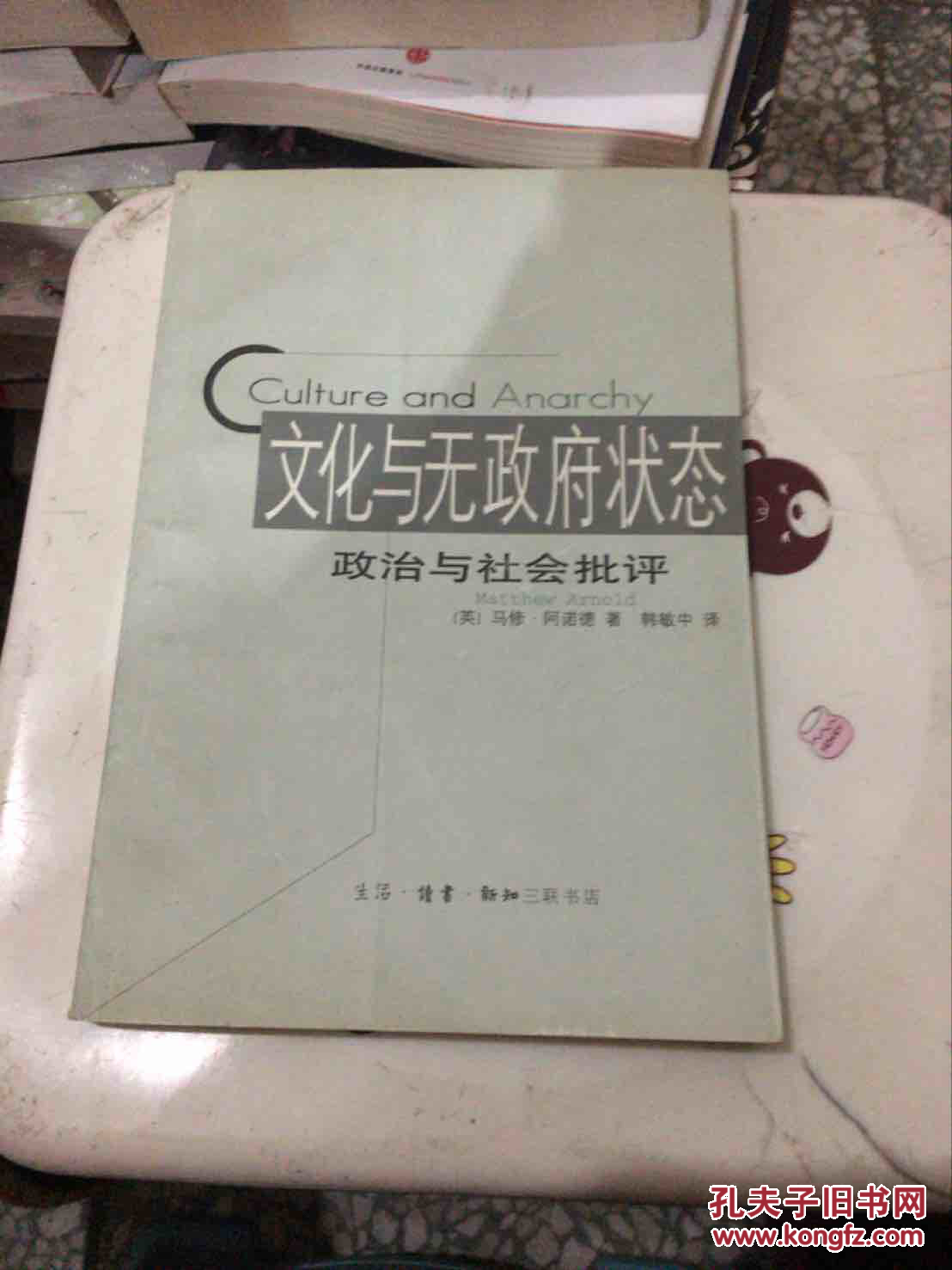 文化与无政府状态