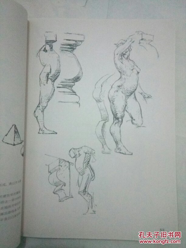 伯里曼人体结构绘画教学