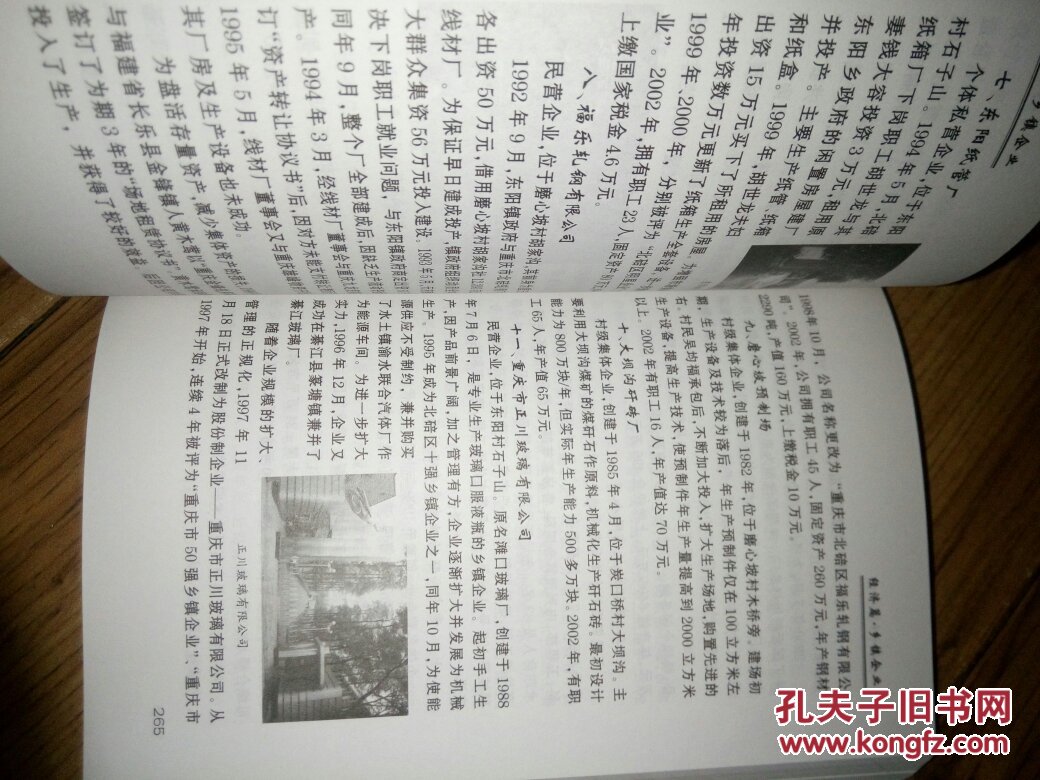 重庆市北碚区东阳镇志图片